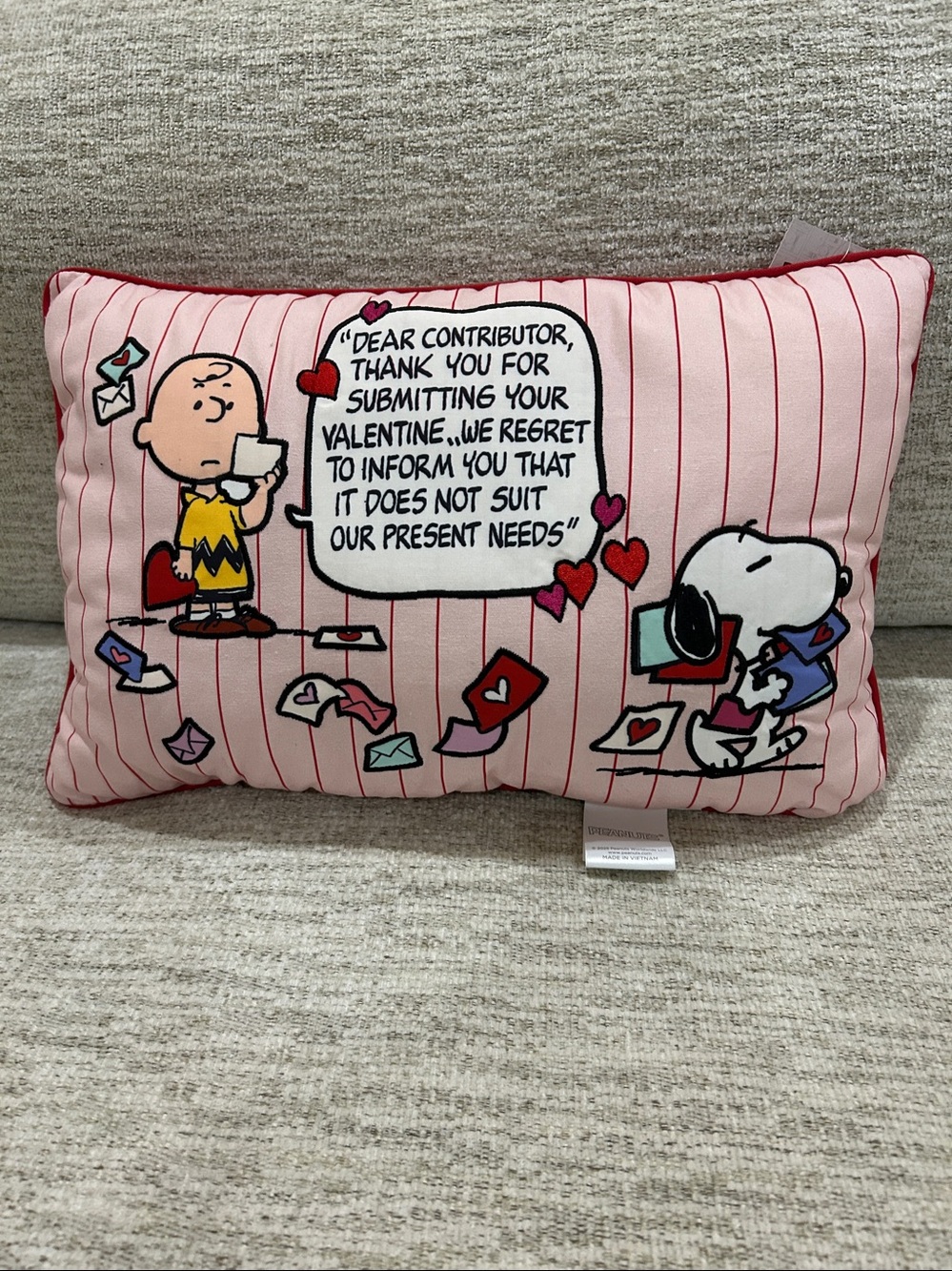 NWT Celebrate Together™ Peanuts Snoopy & Charlie Brown Decorative Comic Pillow